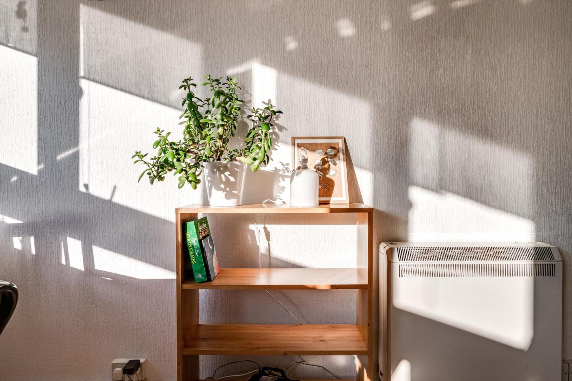 런던 Cosy Battersea Flat 아파트 외부 사진